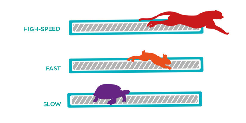 Various animal representing website speeds, like a cheetah and turtle