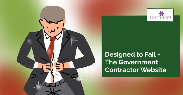 Government contractor website design failures