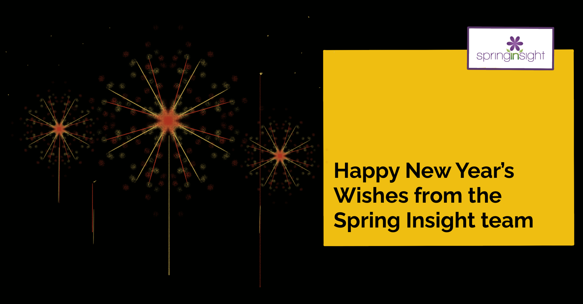 Springing into 2025 Our Professional and Personal Goals for the Year Ahead